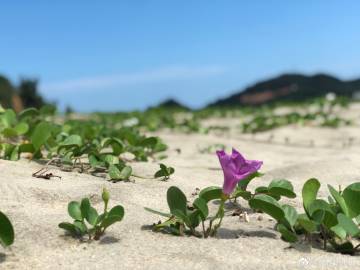 管道属于固定资产的哪一类，管道属于什么类别